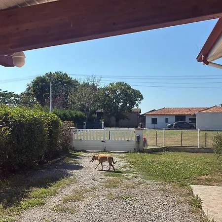 Maison De L Port-de-Lanne